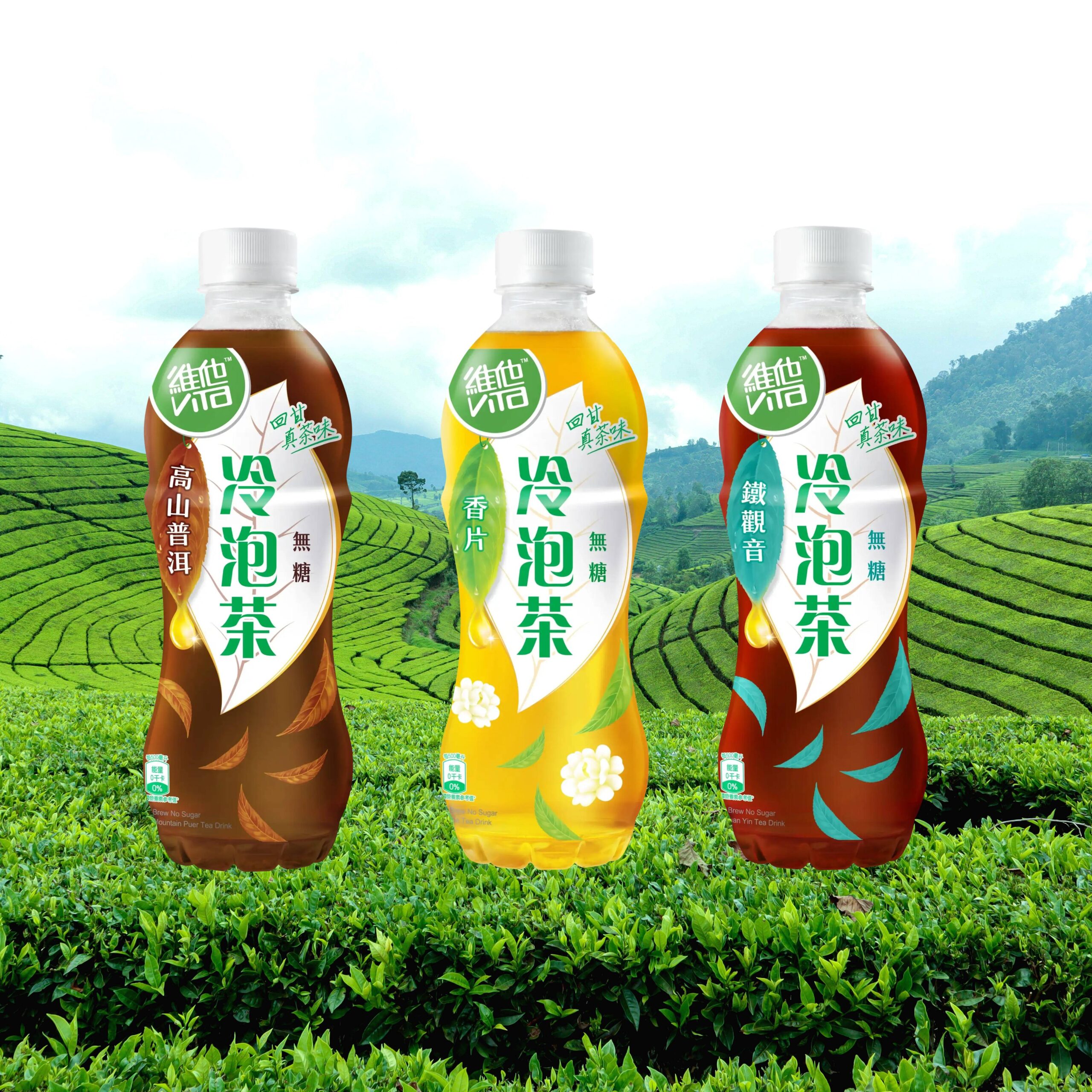 VITA Cold Brew No Sugar Jasmine Tea